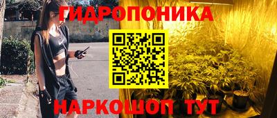 гидропоника Будённовск
