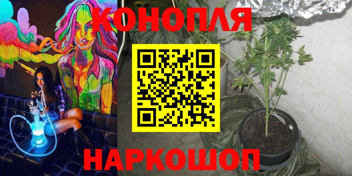 Бошки марихуана White Widow  Каннабис сатива  Бошки марихуана Ganja  Лиски  Вход с VPN 